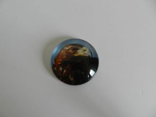 Obrázek z Magnet kulatý 5cm - orel skalní (12) 
